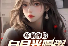 车祸你陪白月光喝粥，我走你哭啥完整版小说免费阅读，车祸你陪白月光喝粥，我走你哭啥小说-推书机