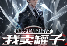 嫌我觉醒垃圾,我卖罐子你哭什么小说全文哪里可以免费看?-推书机