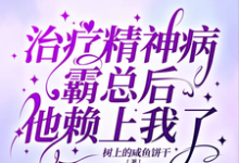 叶青段盛小说叫什么(治疗精神病霸总后他赖上我了完整版免费阅读)-推书机