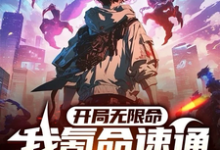 免费在线阅读开局无限命,我氪命速通全球副本小说的正规网站有哪些?-推书机