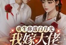 重生你选白月光,我嫁大佬你哭啥小说全文阅读需要付费吗?寻找免费资源-推书机