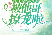 《竹马说我太乖后,被他哥撩宠啦》完整版小说免费阅读-推书机