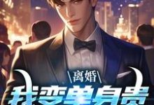 小说《离婚：我变单身贵族强势追爱》完整版在线章节免费阅读-推书机