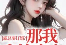 霸总要订婚?那我拿钱走人小说完结版章节免费阅读-推书机