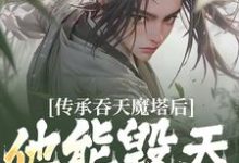 传承吞天魔塔后，他能毁天灭地！小说阅读，传承吞天魔塔后，他能毁天灭地！完结版-推书机
