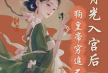 苏绮宁君御珩小说白月光入宫后,狗皇帝紧追不舍完整版阅读-推书机