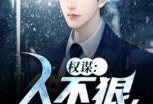 《权谋:人不狠,站不稳》李如昼小说免费阅读完整版-推书机