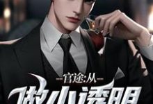 官途:从做小透明开始免费阅读,官途:从做小透明开始章节目录-推书机