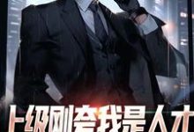 上级刚夸我是人才,后脚让我去打杂小说无弹窗阅读的网站推荐-推书机