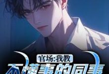 钱元刚小说完整版《官场：我教不懂事的同事如何当官》免费阅读-推书机