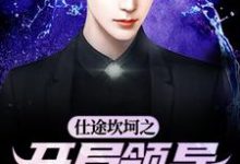 仕途坎坷之开局领导被祭天小说完结版章节免费阅读-推书机