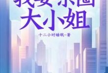 叶建国小说免费阅读完整版-推书机