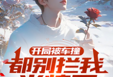 《开局被车撞,都别拦我当情圣!》小说免费阅读完整版-推书机