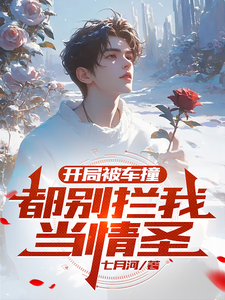 《开局被车撞，都别拦我当情圣！》小说免费阅读完整版