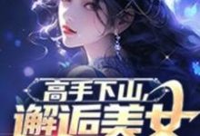 小说《高手下山,邂逅美女总裁未婚妻》章节免费阅读-推书机