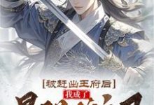已完结小说《被赶出王府后，我成了最强锦衣卫》章节免费阅读-推书机
