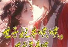 世子妃牛哄哄,世子笑着哄小说完结版章节免费阅读-推书机
