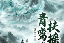 青鸾志:扶摇李彩云苗小说在线章节免费阅读-推书机