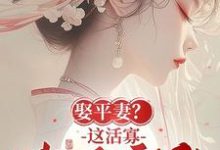 娶平妻?这活寡我不守了!小说免费资源,娶平妻?这活寡我不守了!在线阅读-推书机