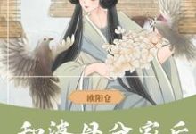 和婆母分家后，赚钱养娃当诰命（柳亦素苏元衍）完整版在线免费阅读-推书机