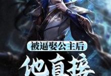 哪里可以免费找到被逼娶公主后，他直接坐了皇位？-推书机