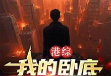 港综：我的卧底遍布香江小说的最新章节在哪里更新？免费追踪阅读-推书机