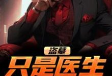 盗墓:只是医生而已小说最新更新在哪里?免费在线看-推书机