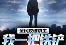 在线寻找全民坟堆求生,我一把铁铲打天下小说的无删减版本-推书机