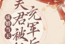 完整版的成婚当天,夫君被抓充军后小说在哪里可以免费读到?-推书机