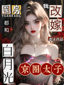 沈瓷霍靳尧小说免费阅读完整版