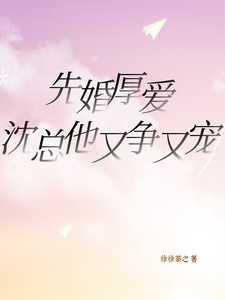先婚厚爱，沈总他又争又宠完整版小说，先婚厚爱，沈总他又争又宠最新章节