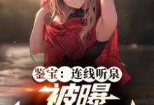 求鉴宝：连线听泉，被曝满门忠烈？小说的全文免费阅读链接-推书机