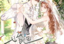 婚途明媚忽旎许竟之在线章节免费阅读-推书机