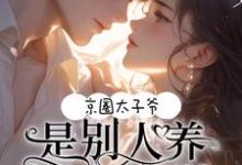 焱晟炆楚墨墨小说在线章节免费阅读（京圈太子爷！是别人养的小白脸无弹窗无删减）-推书机