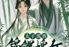 太子流放,锦鲤婢女随行超旺他最新章节,太子流放,锦鲤婢女随行超旺他免费阅读-推书机