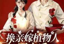 金小满陆永安小说《换亲嫁植物人军官后,我一胎三宝》在线阅读-推书机