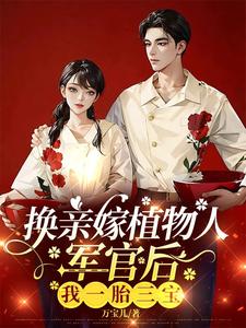 金小满陆永安小说《换亲嫁植物人军官后，我一胎三宝》在线阅读