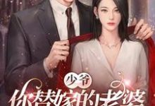 已完结小说《少爷,你替嫁的老婆原来是大佬》章节在线阅读-推书机