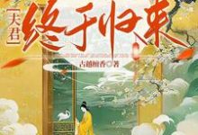 《替嫁熬了三年后,夫君终于归来》陆真萧言小说免费阅读完整版-推书机