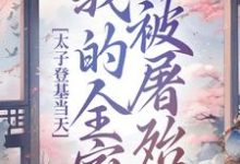 小说《太子登基当天，我的全家被屠殆尽》完整版章节免费阅读-推书机