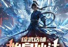 《综武店铺:始皇仙法,万界疯狂》小说大结局免费试读 林圣小说-推书机