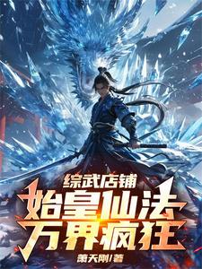 《综武店铺：始皇仙法，万界疯狂》小说大结局免费试读 林圣小说