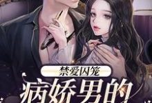 完结版《禁爱囚笼:病娇男的独占欲》在线免费阅读-推书机