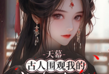 天幕:古人围观我的咸鱼生活小说全文阅读需要付费吗?寻找免费资源-推书机