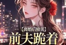 免费看离婚后独美,前夫跪着求原谅小说的网站有哪些?-推书机