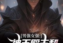 男强女强:神王殿主和女特工闪婚了林晨叶寒霜小说免费阅读-推书机