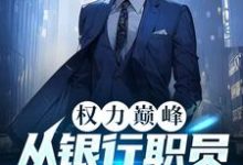 权力巅峰:从银行职员到封疆大吏闻哲小说在线章节目录阅读最新章节-推书机