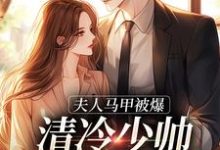夫人马甲被爆,清冷少帅宠妻无度!小说阅读,夫人马甲被爆,清冷少帅宠妻无度!完结版-推书机