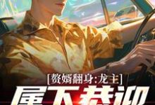 赘婿翻身:龙主,属下恭迎您归位小说全文哪里可以免费看?-推书机