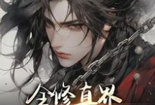 全修真界都在追杀我临棘，全修真界都在追杀我小说免费阅读-推书机